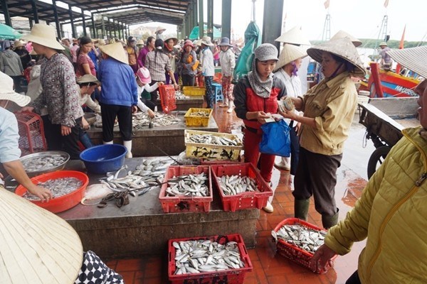 Chợ cá Cửa Lò sôi động trở lại ảnh 3