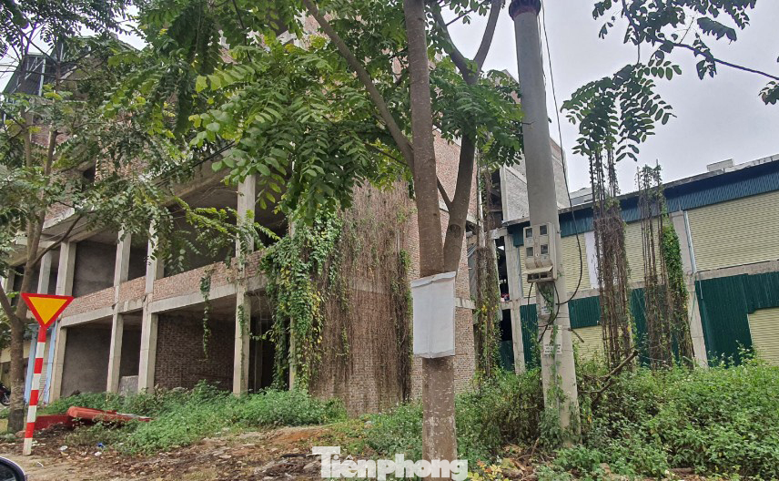 Chuyên gia cho rằng nhà đầu tư buộc phải cắt lỗ mạnh sản phẩm thứ cấp, sản phẩm sơ cấp không có giao dịch nếu thị trường ngày càng có nhiều thách thức.