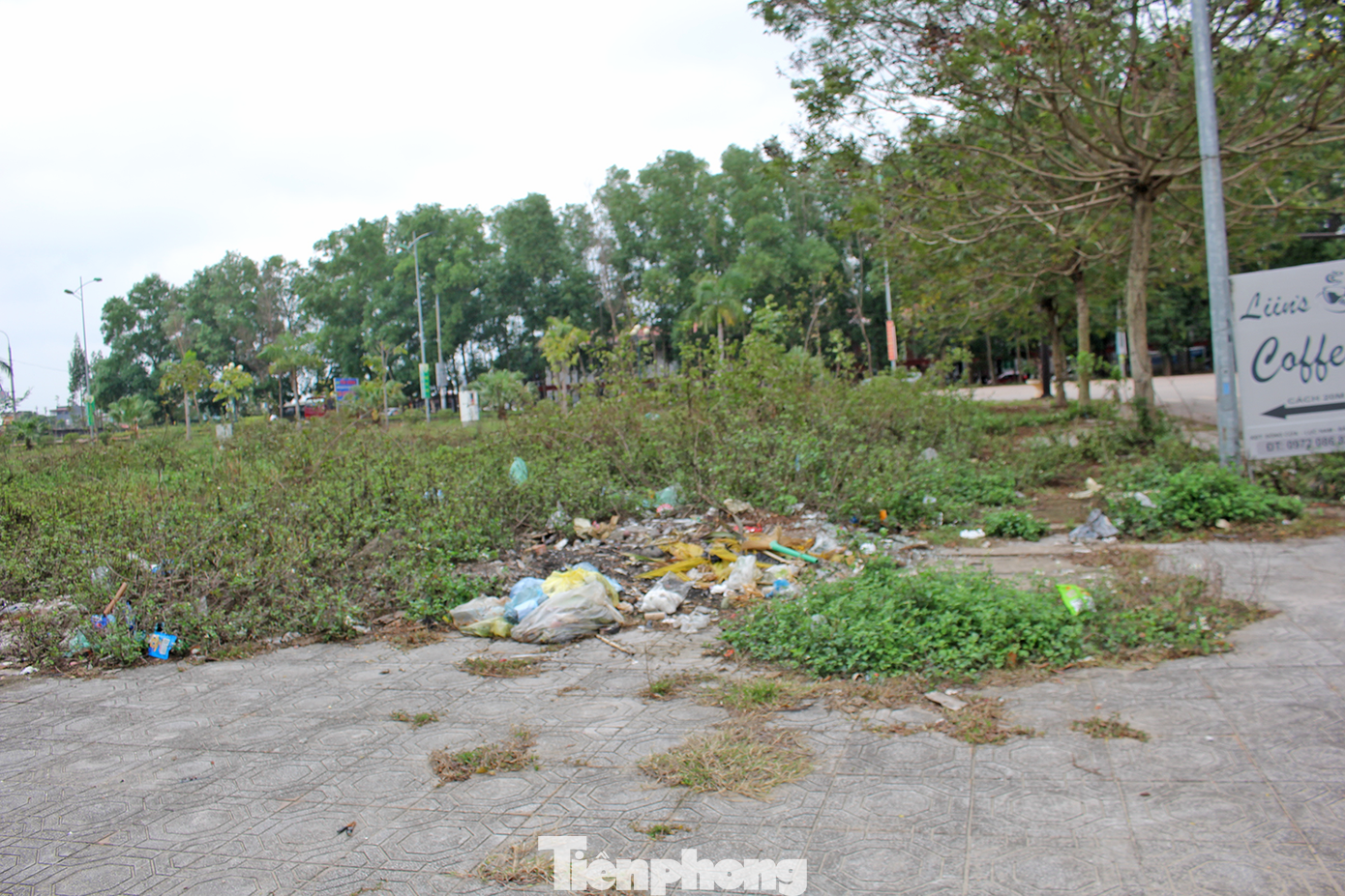 Hết thời "sốt nóng", các phiên đấu giá đất ở Bắc Giang liên tục xuất hiện hàng chục lô không có người đấu. (Ảnh: Lộc Liên) Hết thời "sốt nóng", các phiên đấu giá đất ở Bắc Giang liên tục xuất hiện hàng chục lô không có người đấu. (Ảnh: Lộc Liên)