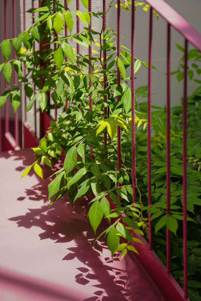 Cấu trúc này cho phép những người sống trong ngôi nhà này kết nối với nhau, với thiên nhiên bên trong và bên ngoài. Cấu trúc này cho phép những người sống trong ngôi nhà này kết nối với nhau, với thiên nhiên bên trong và bên ngoài.