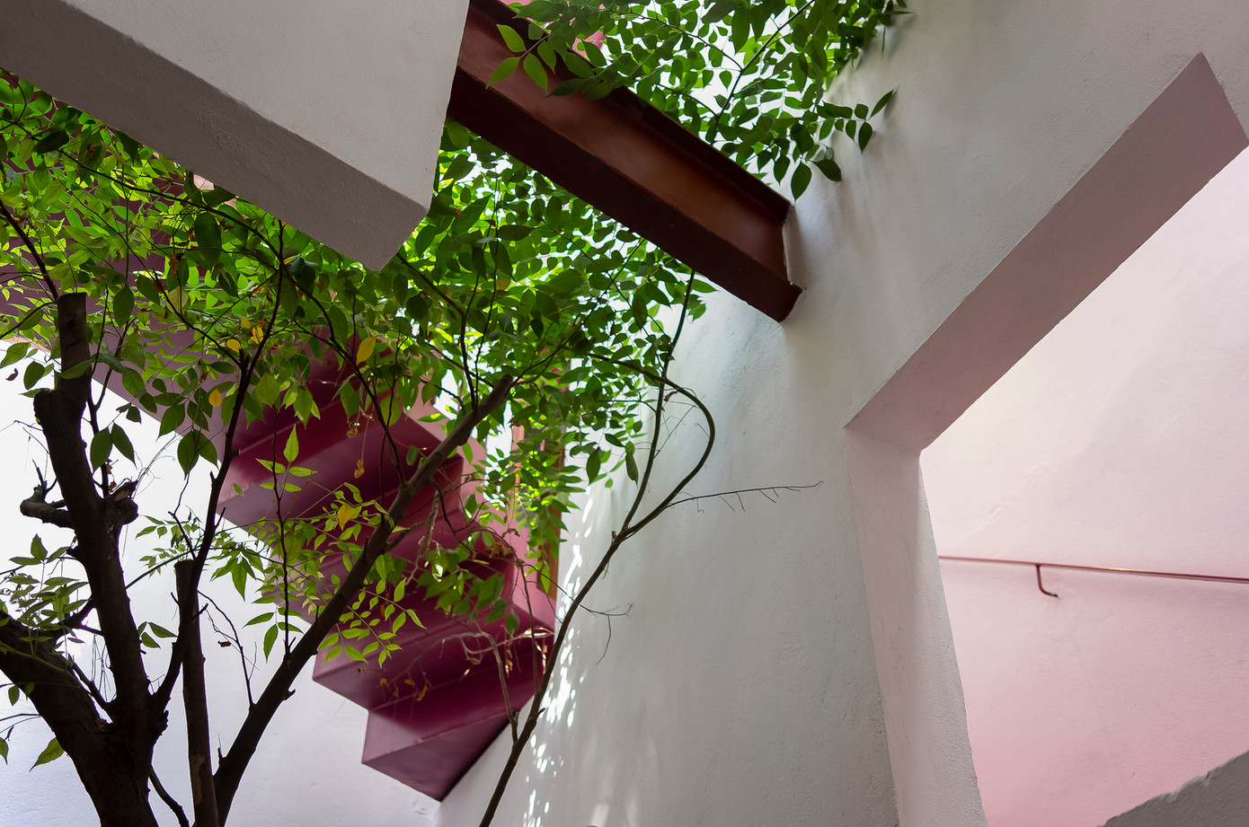 Mảng xanh trong bếp, ngay dưới giếng trời, có các loại cây mọc thẳng đứng vươn ra các không gian bên trong khác ở các tầng trên, mang nắng, gió và thiên nhiên đến khắp nhà. Mảng xanh trong bếp, ngay dưới giếng trời, có các loại cây mọc thẳng đứng vươn ra các không gian bên trong khác ở các tầng trên, mang nắng, gió và thiên nhiên đến khắp nhà.