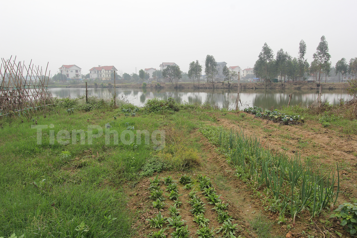 Bộ Tài nguyên và Môi trường đề xuất cấp sổ đỏ cho đất không giấy tờ sử dụng trước 1/7/2014. (Ảnh Lộc Liên) Bộ Tài nguyên và Môi trường đề xuất cấp sổ đỏ cho đất không giấy tờ sử dụng trước 1/7/2014. (Ảnh Lộc Liên)