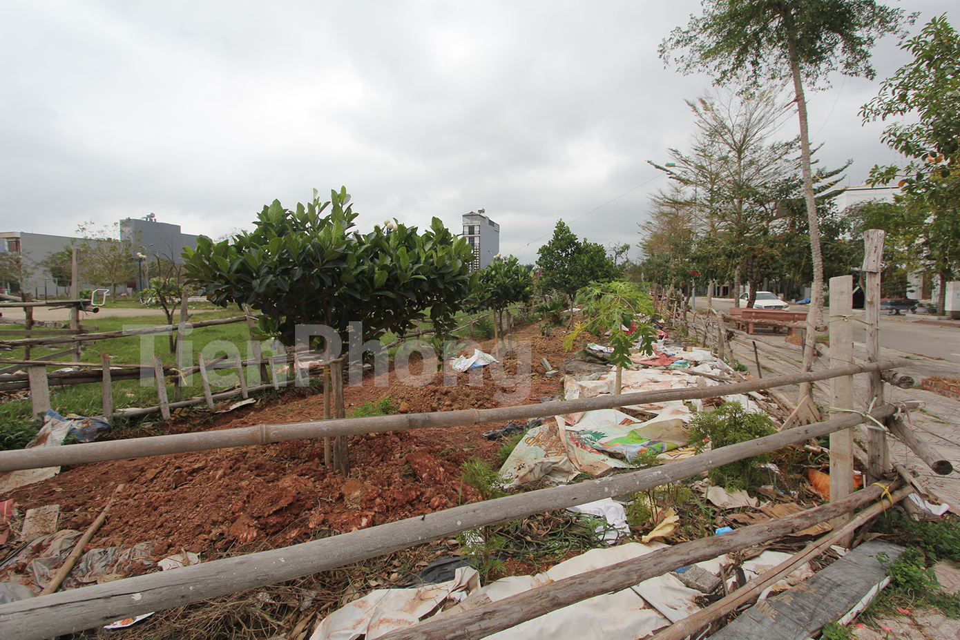 Nhiều ý kiến cho rằng việc đề xuất cấp sổ đỏ cho đất không giấy tờ sử dụng trước ngày 1/7/2014 vẫn gây khó hiểu cho người dân. (Ảnh Lộc Liên) Nhiều ý kiến cho rằng việc đề xuất cấp sổ đỏ cho đất không giấy tờ sử dụng trước ngày 1/7/2014 vẫn gây khó hiểu cho người dân. (Ảnh Lộc Liên)