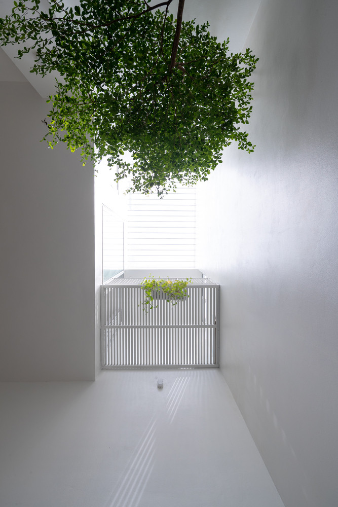 Ở giữa là không gian vùng đệm. Không gian này không chỉ tăng cường vi khí hậu trong nhà mà còn làm mờ ranh giới giữa không gian riêng tư và chung.