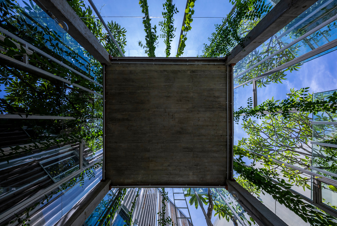 Với công trình này, kiến trúc sư sử dụng cây dây leo để làm nội thất. Chúng cao dần lên và đan xen vào nhau xung quanh từng dãy nhà, tạo nên bức tường xanh vừa đảm bảo sự riêng tư, vừa giúp cân bằng không khí. Với công trình này, kiến trúc sư sử dụng cây dây leo để làm nội thất. Chúng cao dần lên và đan xen vào nhau xung quanh từng dãy nhà, tạo nên bức tường xanh vừa đảm bảo sự riêng tư, vừa giúp cân bằng không khí.