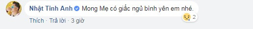 Nghệ sỹ Việt thương tiếc, chia buồn trước tin mẹ Vy Oanh qua đời ảnh 5