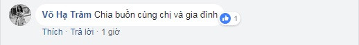 Nghệ sỹ Việt thương tiếc, chia buồn trước tin mẹ Vy Oanh qua đời ảnh 11