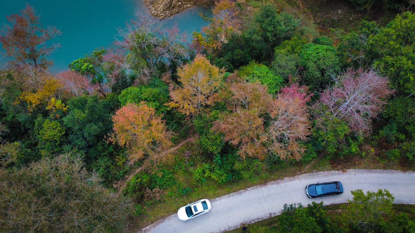 Mùa Đông ở Cao Bằng đẹp như trời Âu: Rủ ngay hội bạn thân “lập kèo” lên đường nào! ảnh 10