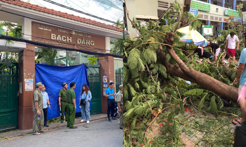 Vụ cây phượng bật gốc tại trường: Học sinh lớp 6 khóc nức nở khi nghe tin bạn tử vong ảnh 1