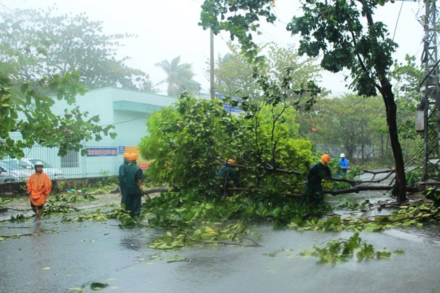 Thông đường sau bão. Ảnh: baodanang.vn