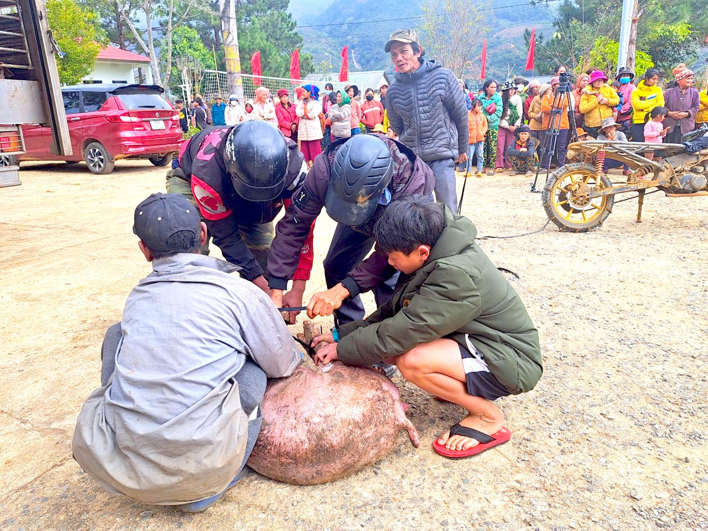 Người dân xã Măng Ri, dưới chân núi Ngọc Linh đến nhận heo. Người dân xã Măng Ri, dưới chân núi Ngọc Linh đến nhận heo.