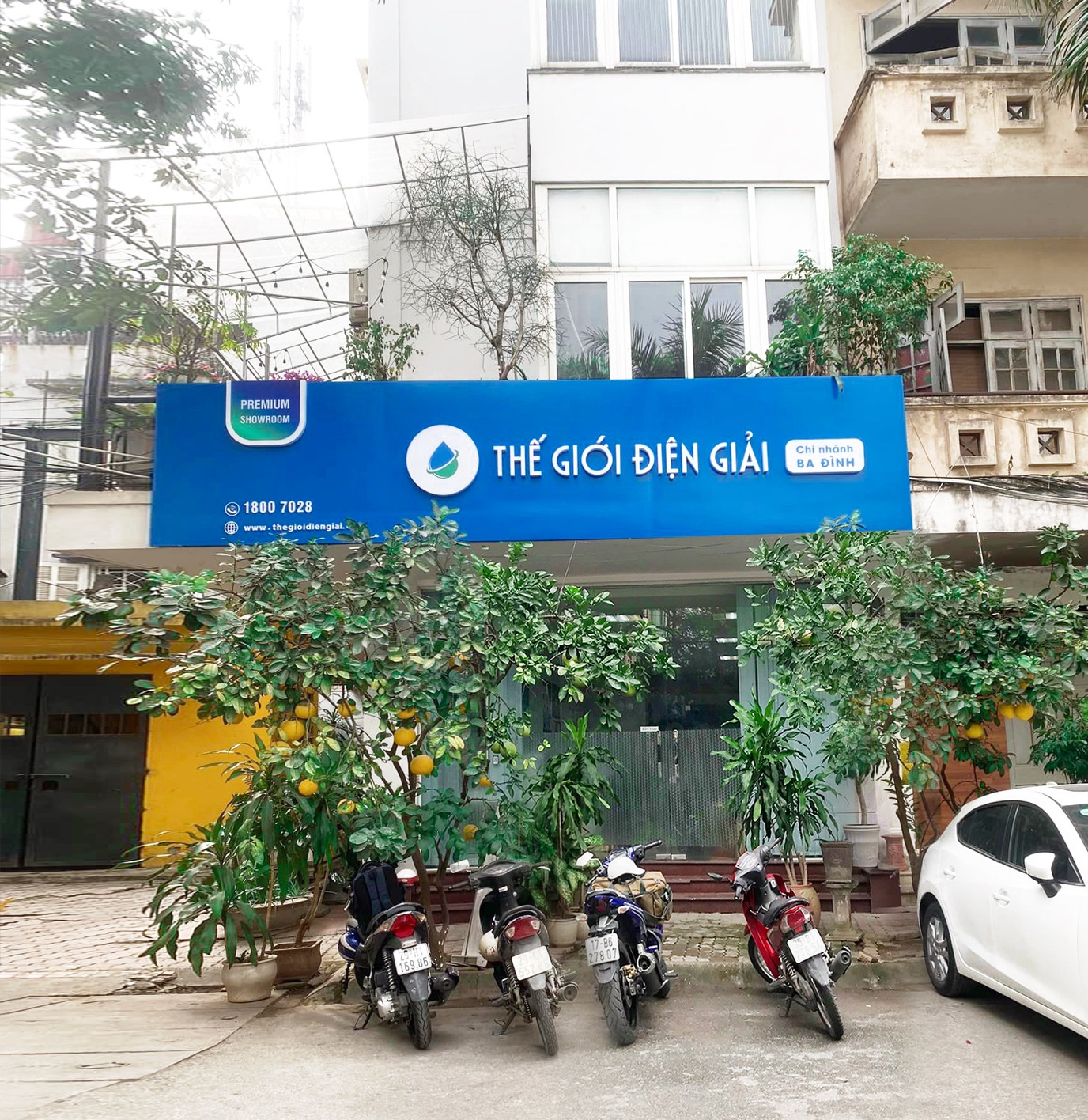 Thế Giới Điện Giải Premium Showroom (TPS) - 43 Ngõ 130 Đốc Ngữ, Quận Ba Đình, Hà Nội