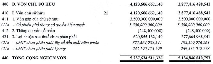 Số liệu trong BCTC Riêng lẻ Quý 4 2022 của Công ty Cổ phần Thaiholdings