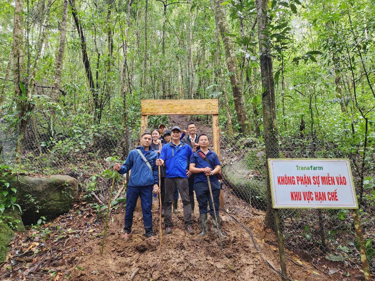 Chuyến đi thực địa của team tại thủ phủ Sâm Ngọc Linh - Nam Trà My