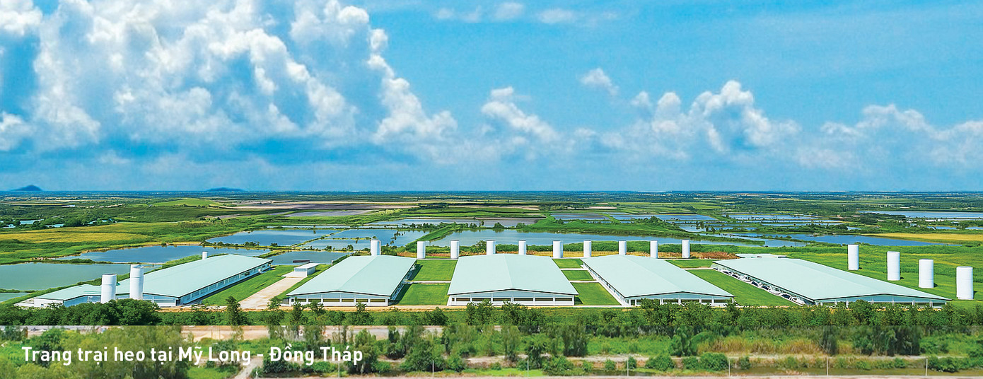 Trang trại heo của Mavin. Trang trại heo của Mavin.