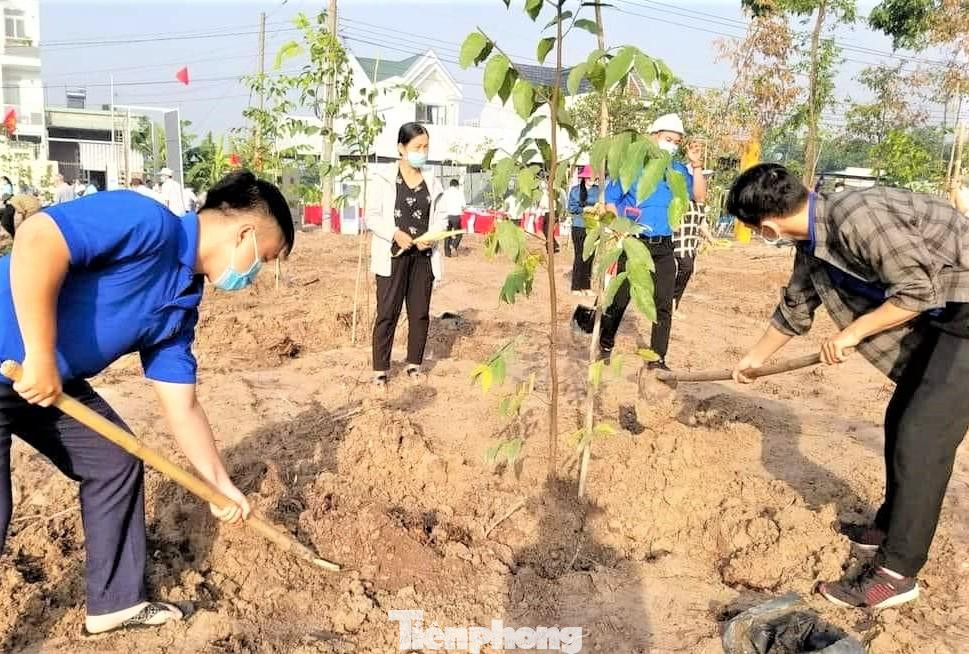 Tuổi trẻ đất Thủ trồng cây nhân ngày sinh nhật Bác Tuổi trẻ đất Thủ trồng cây nhân ngày sinh nhật Bác