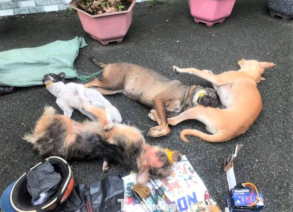 Tang vật lực lượng chức năng thu giữ