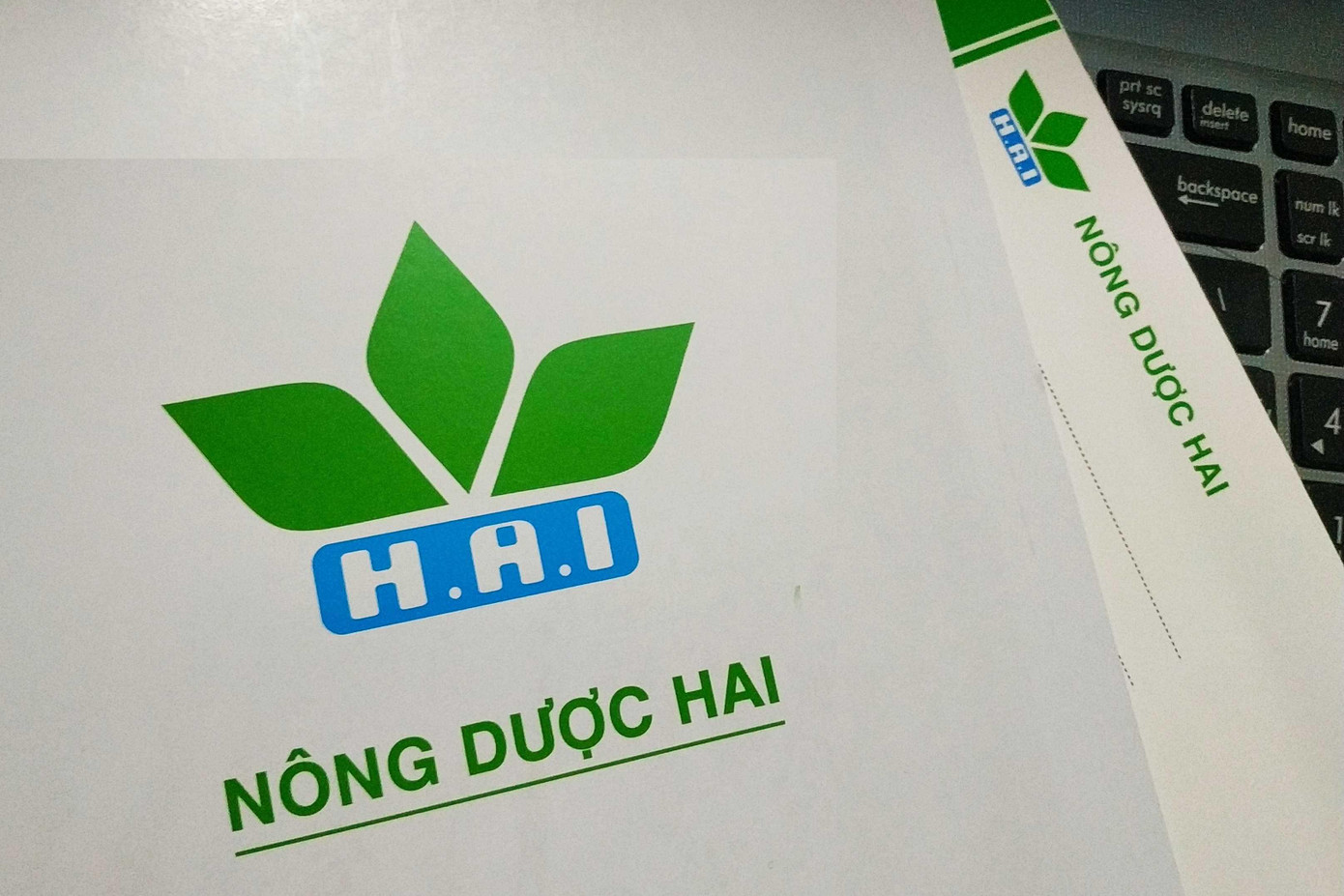 Tài sản đảm bảo của Công ty Cổ phần Nông dược H.A.I được thông báo lần 2 đấu giá.