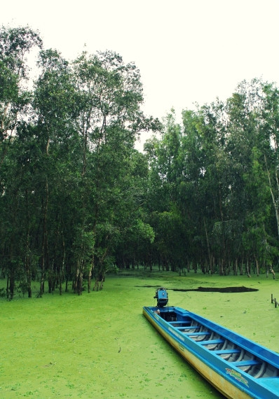 Dừng lại ở bến thuyền về chờ cơn mưa rừng qua đi. Dừng lại ở bến thuyền về chờ cơn mưa rừng qua đi