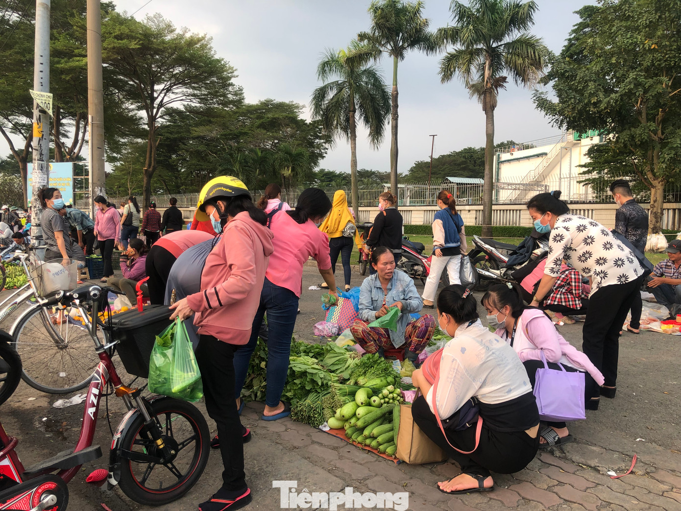 Công nhân chọn mua cá, thịt gà, trứng, rau xanh... vừa túi tiền lại đủ dinh dưỡng. Công nhân chọn mua cá, thịt gà, trứng, rau xanh... vừa túi tiền lại đủ dinh dưỡng.