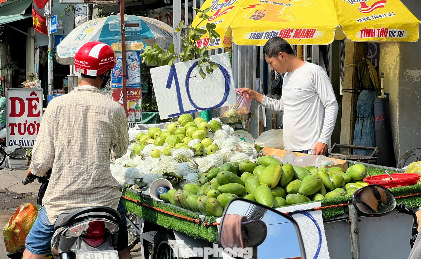 Ổi cũng có giá chỉ 10.000 đồng/kg. Ổi cũng có giá chỉ 10.000 đồng/kg.