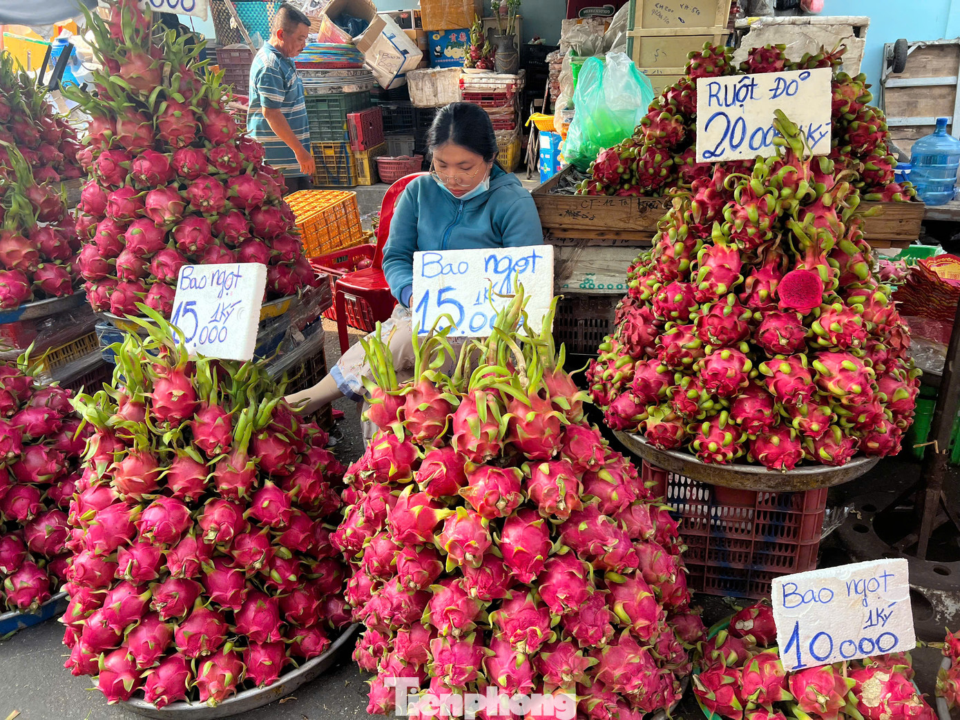 Thanh long giá chỉ 10.000 - 15.000 đồng/kg. Thanh long giá chỉ 10.000 - 15.000 đồng/kg.