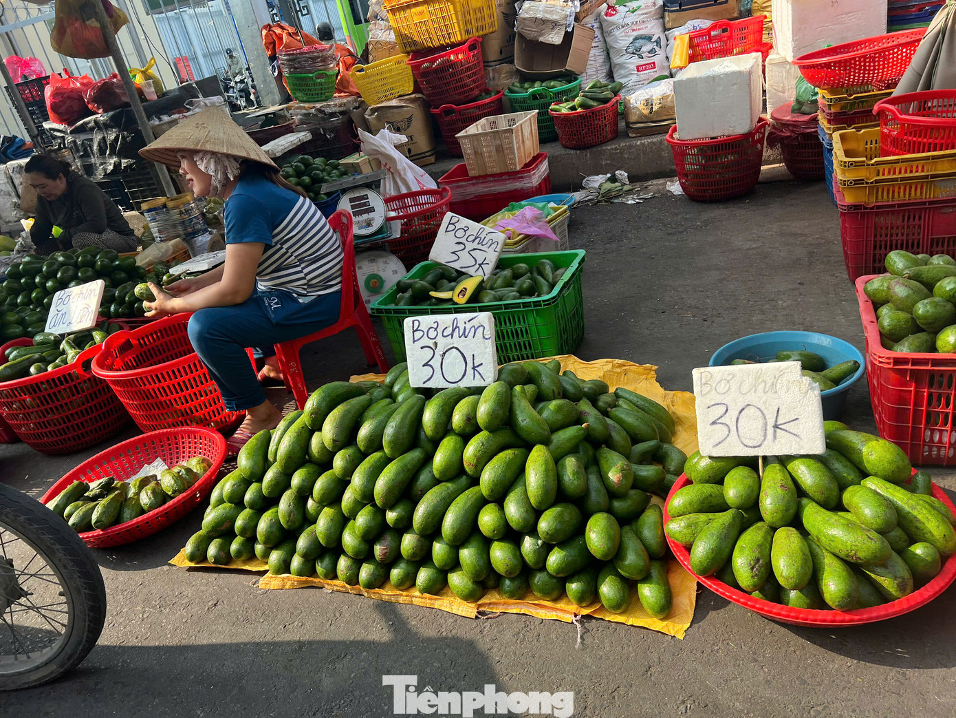 Mùa này, bơ cũng có giá chỉ 30.000 đồng/kg nhưng không nhiều khách mua. Mùa này, bơ cũng có giá chỉ 30.000 đồng/kg nhưng không nhiều khách mua.