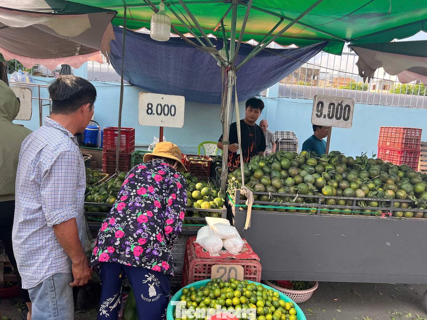 Cam, tắc, chanh dây đều rất đắt hàng trong mùa này. Theo nhiều tiểu thương, các loại trái cây này hầu hết đều không xuất khẩu nên sản lượng cung ứng cho thị trường trong nước rất dồi dào, giá lại mềm hơn so với nhiều loại trái cây khác trong mùa nắng nóng. Cam, tắc, chanh dây đều rất đắt hàng trong mùa này. Theo nhiều tiểu thương, các loại trái cây này hầu hết đều không xuất khẩu nên sản lượng cung ứng cho thị trường trong nước rất dồi dào, giá lại mềm hơn so với nhiều loại trái cây khác trong mùa nắng nóng.