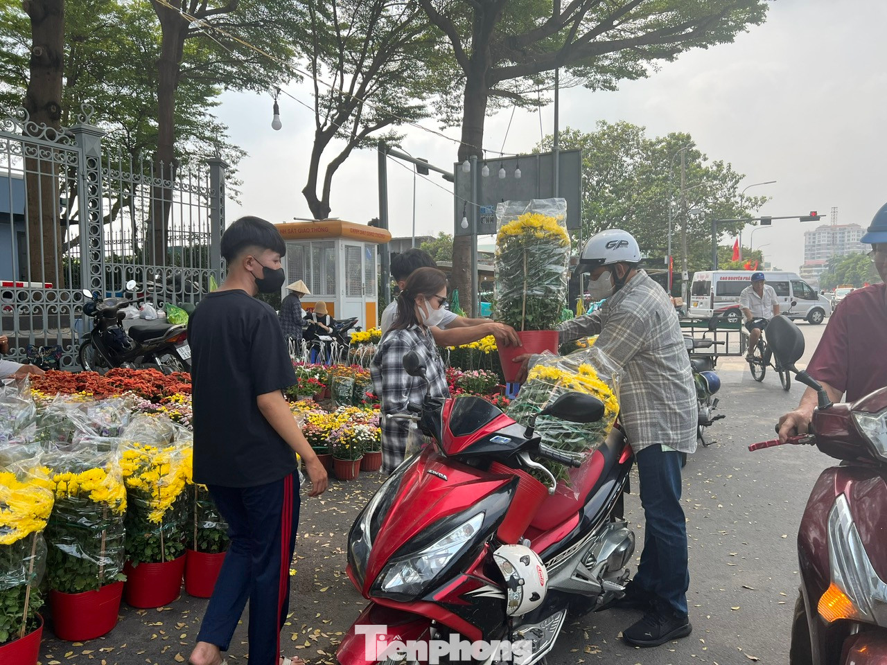 Năm nay, tiểu thương mang hoa đến TPHCM bán Tết đa phần là cúc, vạn thọ, mồng gà có giá khá mềm, từ 50.000 - 120.000 đồng/chậu. "Kinh tế khó khăn nên người dân sẽ tính toán kỹ hơn khi mua hoa chơi Tết. Vì vậy, nhà vườn cũng chọn những giống hoa hợp túi tiền, dễ mua bán hơn để phục vụ khách" - ông Thành (nhà vườn đến từ Bến Tre) cho biết. Năm nay, tiểu thương mang hoa đến TPHCM bán Tết đa phần là cúc, vạn thọ, mồng gà có giá khá mềm, từ 50.000 - 120.000 đồng/chậu. "Kinh tế khó khăn nên người dân sẽ tính toán kỹ hơn khi mua hoa chơi Tết. Vì vậy, nhà vườn cũng chọn những giống hoa hợp túi tiền, dễ mua bán hơn để phục vụ khách" - ông Thành (nhà vườn đến từ Bến Tre) cho biết.