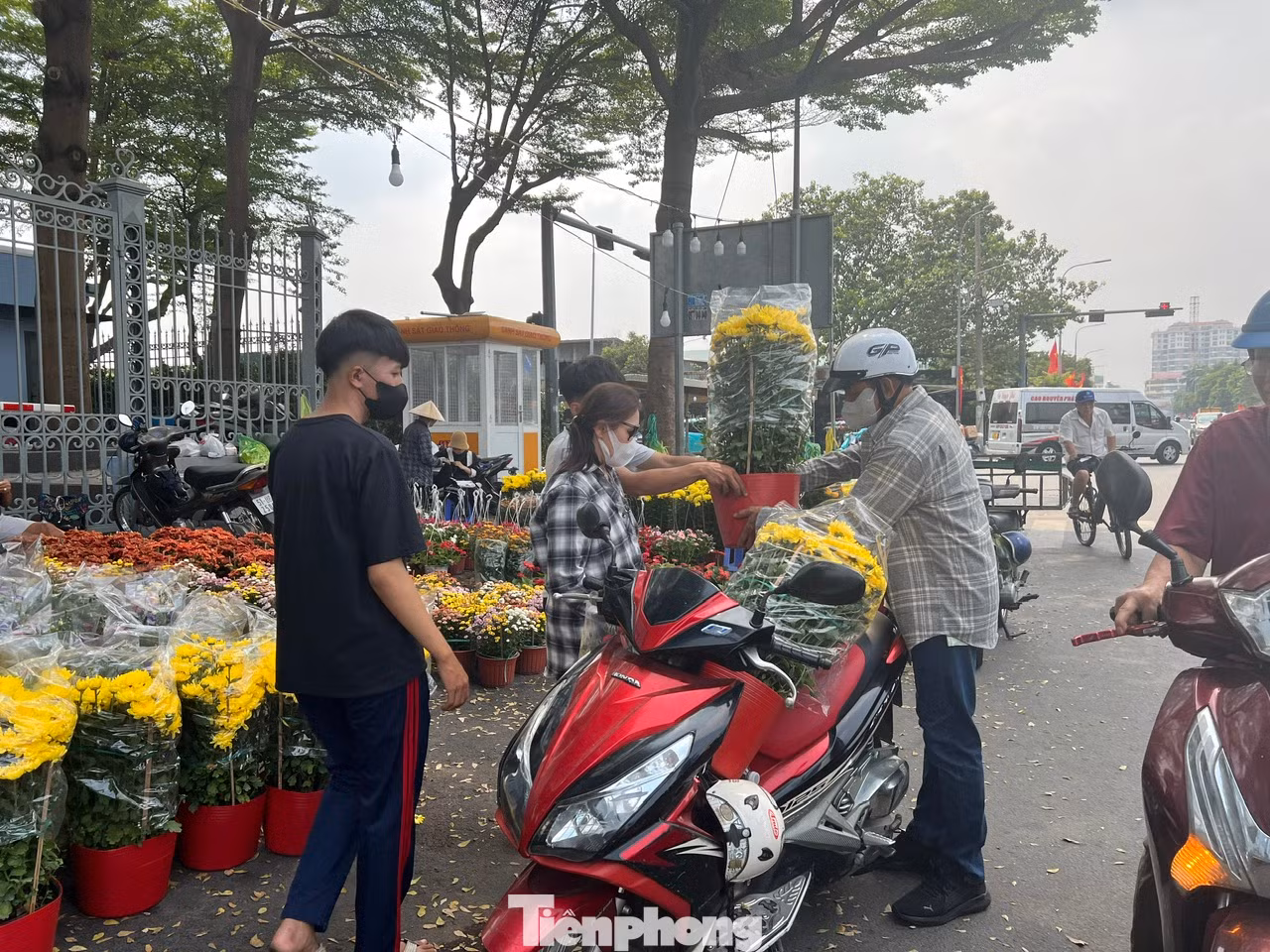 Năm nay, tiểu thương mang hoa đến TPHCM bán Tết đa phần là cúc, vạn thọ, mồng gà có giá khá mềm, từ 50.000 - 120.000 đồng/chậu. "Kinh tế khó khăn nên người dân sẽ tính toán kỹ hơn khi mua hoa chơi Tết. Vì vậy, nhà vườn cũng chọn những giống hoa hợp túi tiền, dễ mua bán hơn để phục vụ khách" - ông Thành (nhà vườn đến từ Bến Tre) cho biết. Năm nay, tiểu thương mang hoa đến TPHCM bán Tết đa phần là cúc, vạn thọ, mồng gà có giá khá mềm, từ 50.000 - 120.000 đồng/chậu. "Kinh tế khó khăn nên người dân sẽ tính toán kỹ hơn khi mua hoa chơi Tết. Vì vậy, nhà vườn cũng chọn những giống hoa hợp túi tiền, dễ mua bán hơn để phục vụ khách" - ông Thành (nhà vườn đến từ Bến Tre) cho biết.