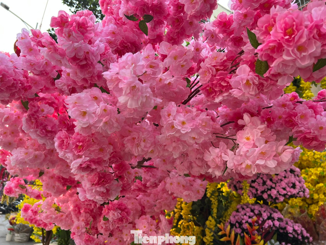 Một cây đào rộ bông nhìn từ xa như những cụm mây hồng trong nắng sớm. Theo lời người bán, hoa giả có cả hàng sản xuất trong và ngoài nước để đáp ứng các yêu cầu mua sắm đa dạng của khách hàng. Một cây đào rộ bông nhìn từ xa như những cụm mây hồng trong nắng sớm. Theo lời người bán, hoa giả có cả hàng sản xuất trong và ngoài nước để đáp ứng các yêu cầu mua sắm đa dạng của khách hàng.