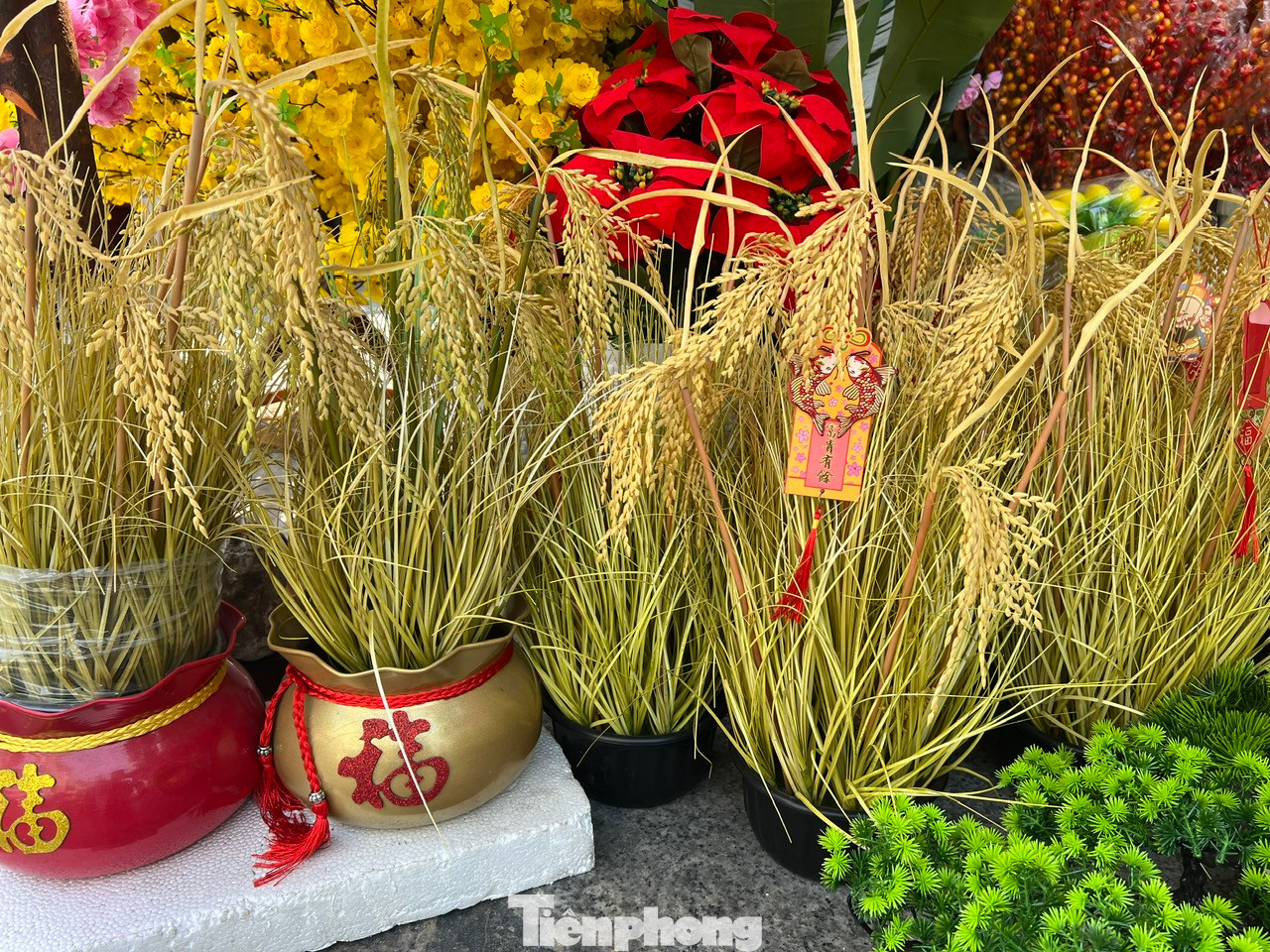 Những cây lúa nhựa nhìn từ xa cứ ngỡ là lúa thật. Nhiều người quan niệm, đầu năm trưng bày cây lúa trong nhà, cả năm sẽ no đủ, may mắn... Những cây lúa nhựa nhìn từ xa cứ ngỡ là lúa thật. Nhiều người quan niệm, đầu năm trưng bày cây lúa trong nhà, cả năm sẽ no đủ, may mắn...