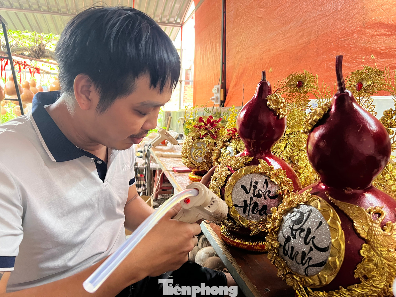 Anh Nguyễn Anh Tú, chủ cơ sở cho biết, những năm trước đã ra mắt thị trường Tết các loại dừa và bưởi dát vàng. Năm nay, cơ sở làm thêm bầu hồ lô phong thủy. Từ tháng 4 năm ngoái, anh Tú trồng bầu hồ lô trên mảnh đất rộng 3.000 m2 ở huyện Củ Chi để chủ động nguồn nguyên liệu.