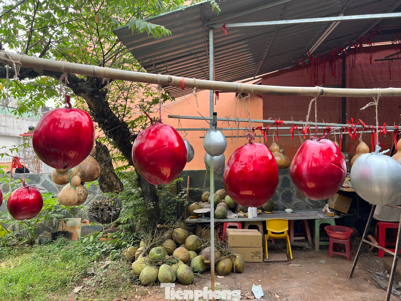 “Bầu hồ lô dự kiến là mặt hàng “hot” của thị trường Tết năm nay. Với ý nghĩa là biểu trưng cho sự may mắn, tài lộc, tôi mong muốn người mua sẽ gặp được những điều tốt đẹp, thịnh vượng trong năm mới” – anh Tú chia sẻ.