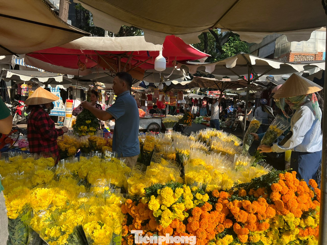 Các loại hoa cúc, hướng dương giá cũng khá mềm, khoảng 25.000 - 30.000 đồng/bó. Các loại hoa cúc, hướng dương giá cũng khá mềm, khoảng 25.000 - 30.000 đồng/bó.