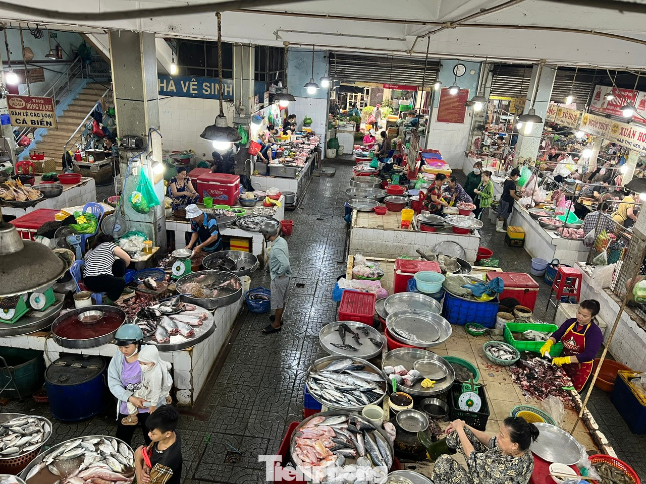 Khu kinh doanh thực phẩm tươi sống tại chợ An Đông cũng không khấm khá hơn. Trong giờ cao điểm chợ trưa ngày 11/5, thịt cá tại khu vực này vẫn còn đầy sạp, tiểu thương ngồi không trông ngóng từng khách đến chợ... Khu kinh doanh thực phẩm tươi sống tại chợ An Đông cũng không khấm khá hơn. Trong giờ cao điểm chợ trưa ngày 11/5, thịt cá tại khu vực này vẫn còn đầy sạp, tiểu thương ngồi không trông ngóng từng khách đến chợ...