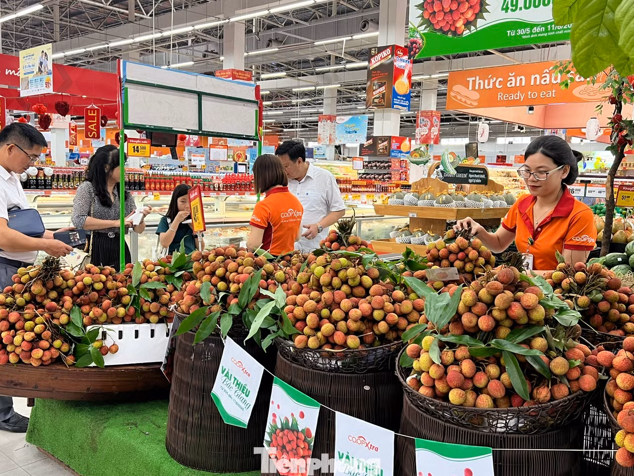 Cuối tháng 5 vừa qua, tại TPHCM, UBND huyện Lục Ngạn phối hợp cùng thị xã Chũ (Bắc Giang) tổ chức lễ ký kết chương trình tiêu thụ vải thiều tại thị trường phía Nam với các hệ thống bán lẻ lớn như Saigon Co.op, chợ đầu mối nông sản Thủ Đức, chợ đầu mối Bình Điền… nhằm hỗ trợ tiêu thụ sản phẩm vào mùa cao điểm. Ông Lương Thế Tuấn, Bí thư Huyện ủy Lục Ngạn cho biết, vùng sản xuất vải thiều của huyện Lục Ngạn và thị xã Chũ đã chính thức bước vào vụ thu hoạch. Mùa vụ vải thiều năm nay bắt đầu từ giữa tháng Sáu và dự kiến kết thúc vào cuối tháng Bảy. Cuối tháng 5 vừa qua, tại TPHCM, UBND huyện Lục Ngạn phối hợp cùng thị xã Chũ (Bắc Giang) tổ chức lễ ký kết chương trình tiêu thụ vải thiều tại thị trường phía Nam với các hệ thống bán lẻ lớn như Saigon Co.op, chợ đầu mối nông sản Thủ Đức, chợ đầu mối Bình Điền… nhằm hỗ trợ tiêu thụ sản phẩm vào mùa cao điểm. Ông Lương Thế Tuấn, Bí thư Huyện ủy Lục Ngạn cho biết, vùng sản xuất vải thiều của huyện Lục Ngạn và thị xã Chũ đã chính thức bước vào vụ thu hoạch. Mùa vụ vải thiều năm nay bắt đầu từ giữa tháng Sáu và dự kiến kết thúc vào cuối tháng Bảy.