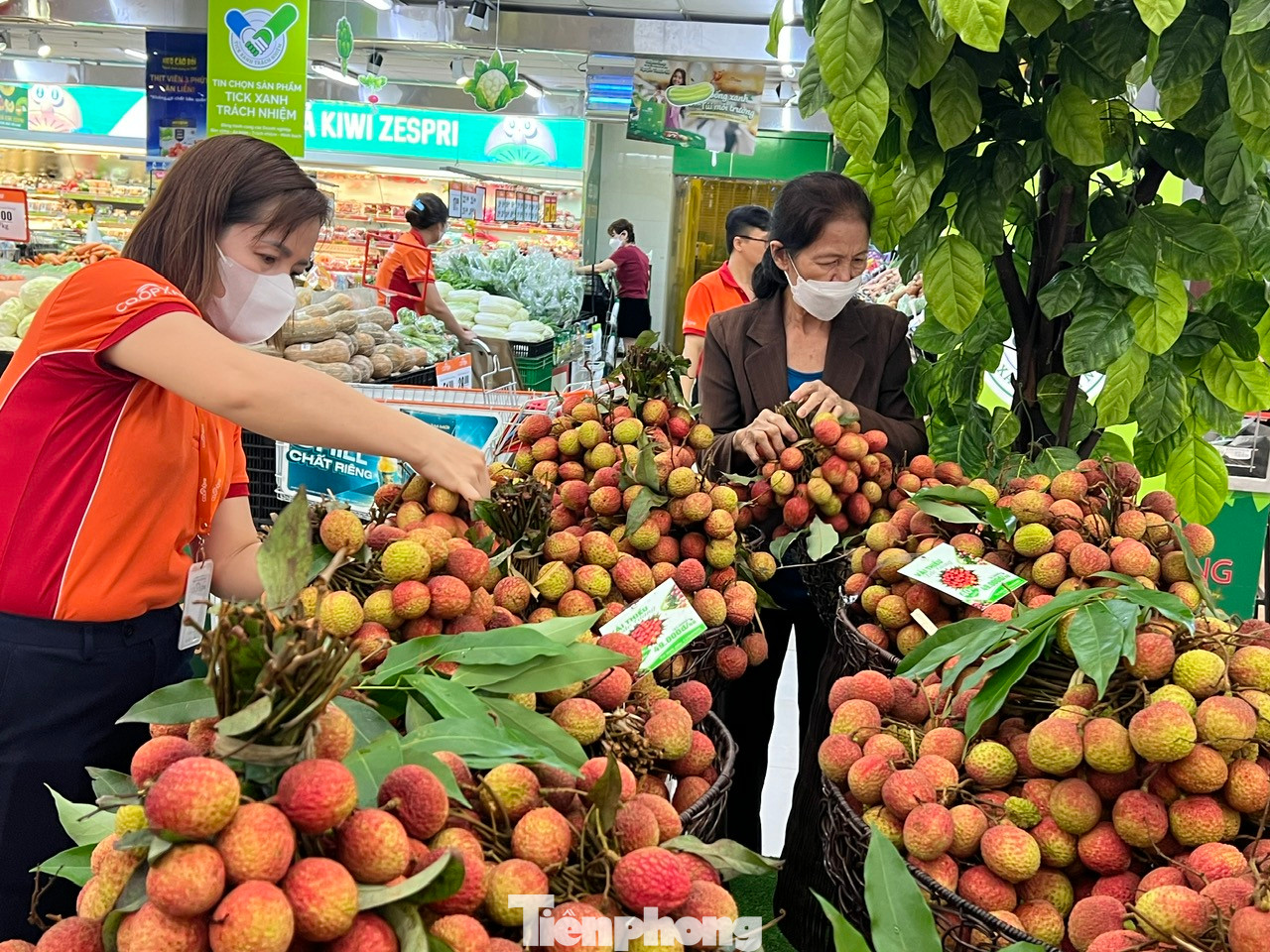 Vài ngày gần đây, tại nhiều hệ thống siêu thị lớn ở TPHCM, vải thiều Bắc Giang được nhập về nhiều và thu hút sự quan tâm của người tiêu dùng. Những chùm vải thiều tươi ngon, quả căng to, mọng nước tỏa hương thơm ngát. "Hôm nay đi siêu thị, tôi mới thấy được những quả vải tươi ngon mơn mởn. Vải đang vào vụ nên có vị ngọt thanh chứ không chua lẫn vị chát" - bà Tâm (ngụ quận Bình Thạnh) cho biết.
