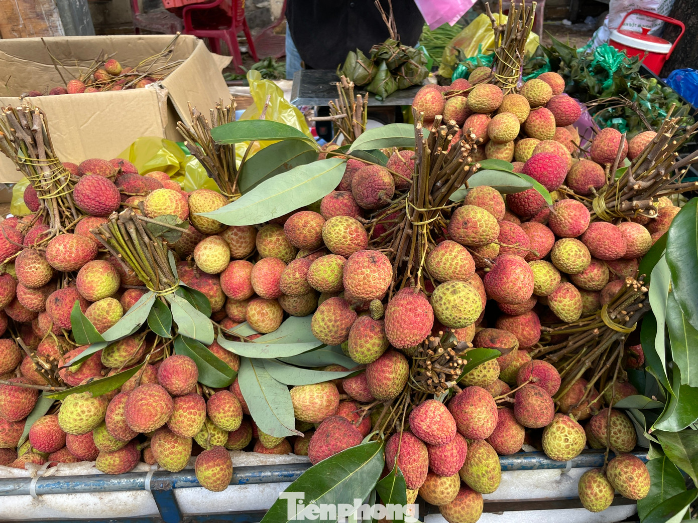 Vải thiều được cột thành từng chùm từ 2 - 3 kg. Vải ngon và chín tới sẽ có vỏ màu hồng đỏ, quả tròn đều. Vải chín tới phần gai sẽ nhẵn, gai càng nhiều và càng nhọn là vải còn xanh ăn có vị chua.