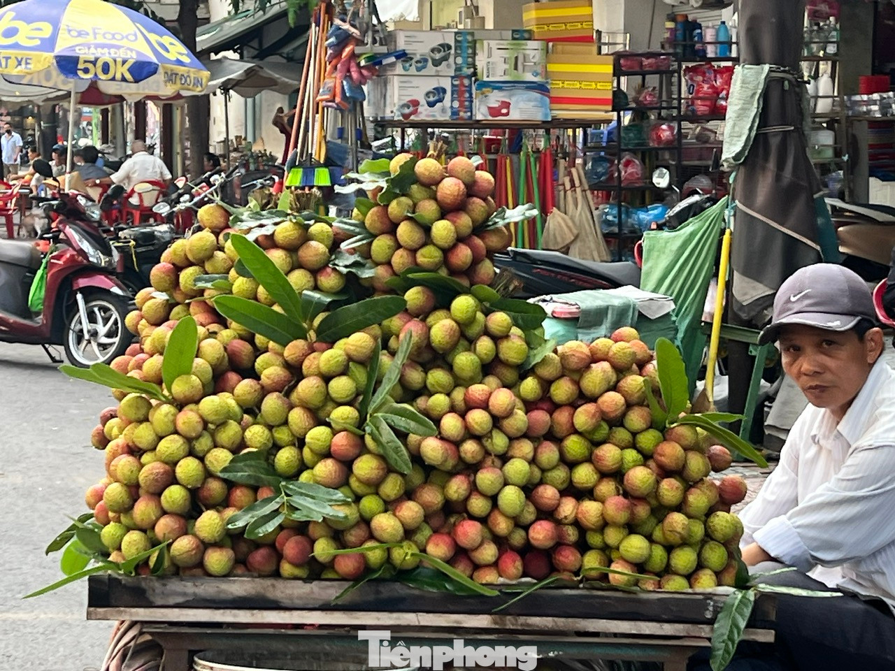 Vải thiều còn xanh, hơi ửng hồng được khách mua nhiều để cúng, chưng bàn thờ, sau 2 - 3 ngày, vải chín đỏ vừa ăn.