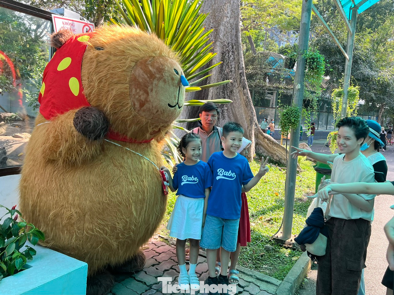 Khu vực hút khách nhiều nhất hiện nay là chuồng nuôi capybara (chuột lang nước). Gia đình capybara gồm Phú, Quý, Cát, Tường vừa ra mắt tại Thảo Cầm Viên Sài Gòn. Bốn chú chuột lang nước mới tròn 6 tháng tuổi, nặng 15 kg, được chuyển về Thảo Cầm Viên thời gian gần đây. Trong khi chờ đợi vào chơi cùng capybara, nhiều bạn nhỏ tranh thủ chụp ảnh cùng chú chuột lang nước do người đóng giả.