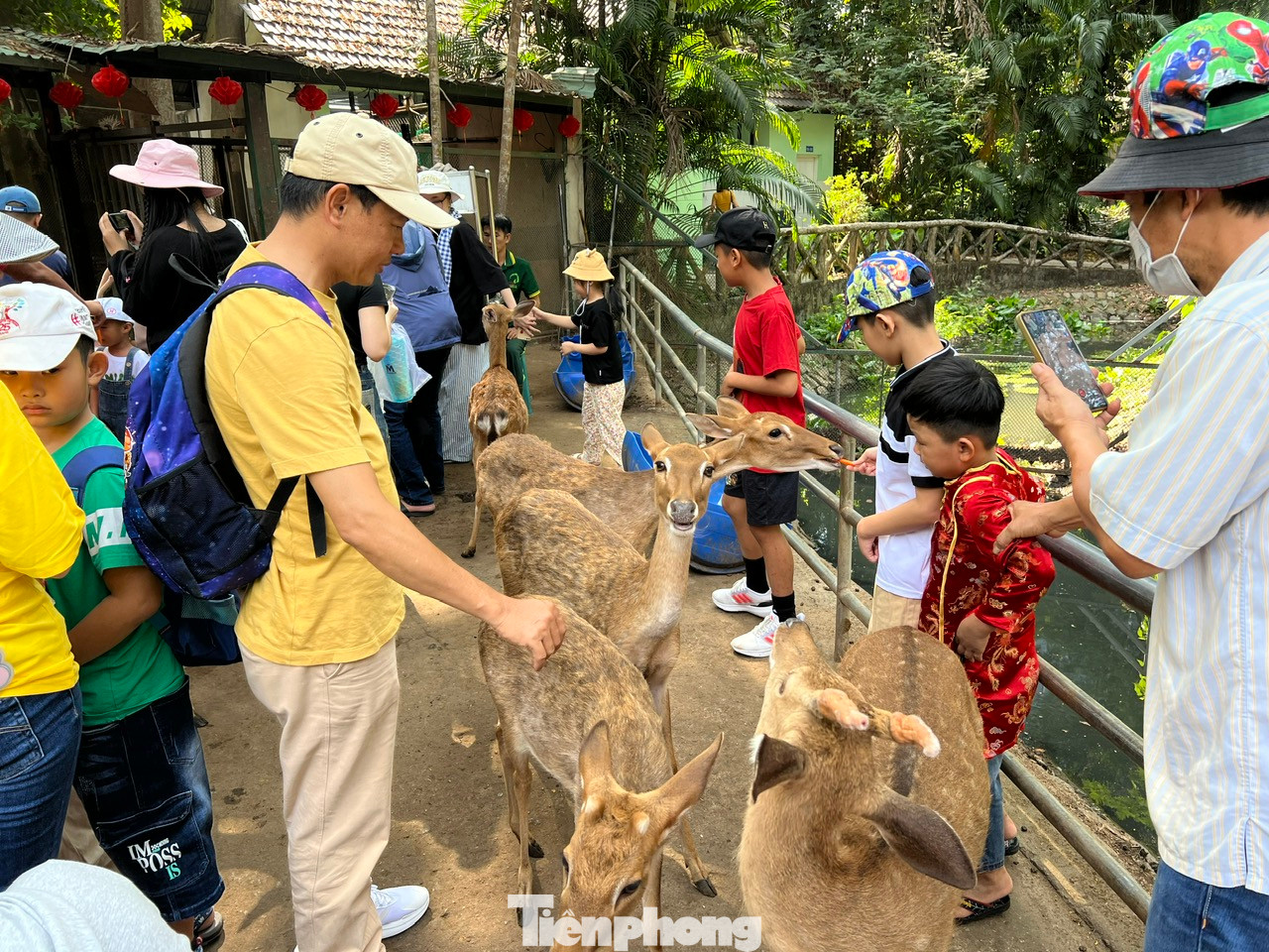 "Tôi thường cho các con vào sở thú vui chơi những dịp lễ, Tết. Tại đây, các con học được nhiều điều thú vị về thế giới động vật xung quanh, dạn dĩ và biết yêu thương động vật" - anh Tâm (đến từ huyện Nhà Bè, TPHCM) chia sẻ.