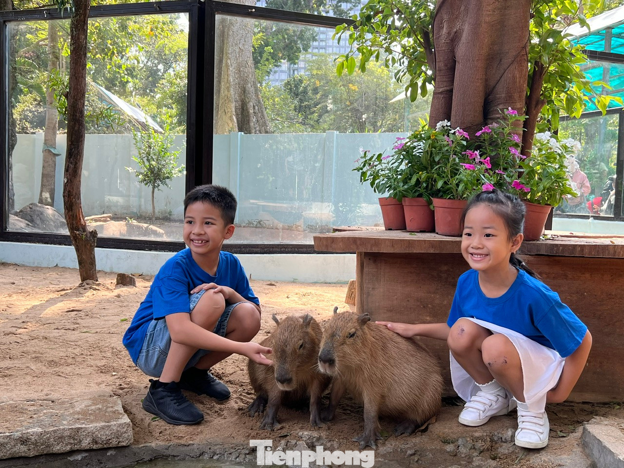 Niềm hạnh phúc khi được vuốt ve "idol" ngoài đời thực của các bạn nhỏ