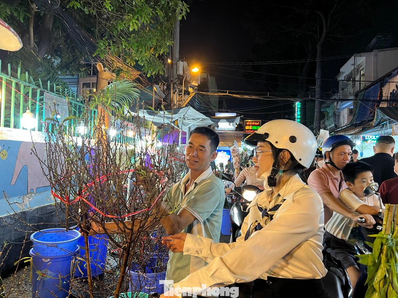 Chỉ còn chưa đến 2 ngày nữa là đến Tết Nguyên đán Ất Tỵ 2025, ai cũng hối hả sắm Tết, và hoa cũng là thứ không thể thiếu trong mỗi gia đình những ngày Tết đến, xuân về.