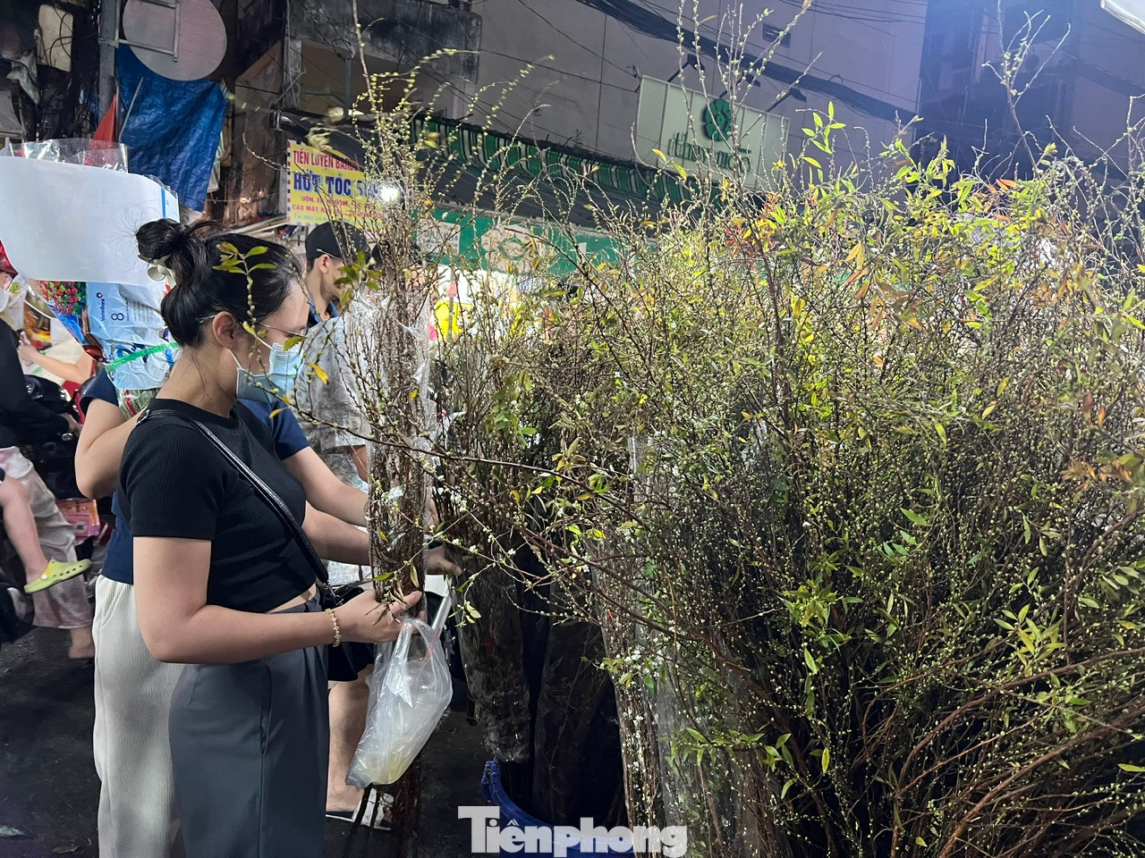 Thanh liễu có giá chỉ 100.000 đồng/bó, rẻ hơn so với năm ngoái khá nhiều.