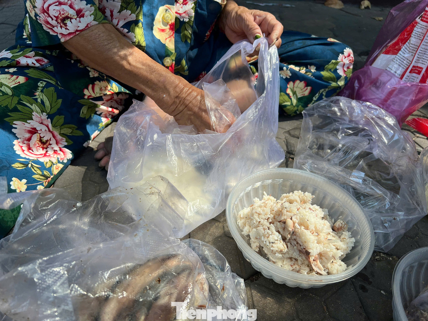 Tô cơm đầy ắp có cá, hạt. Có món nào ngon bà Năm đều dành cho "các con". "Tụi nó dễ nuôi lắm, cho gì cũng ăn" - bà cụ U80 vui vẻ chia sẻ