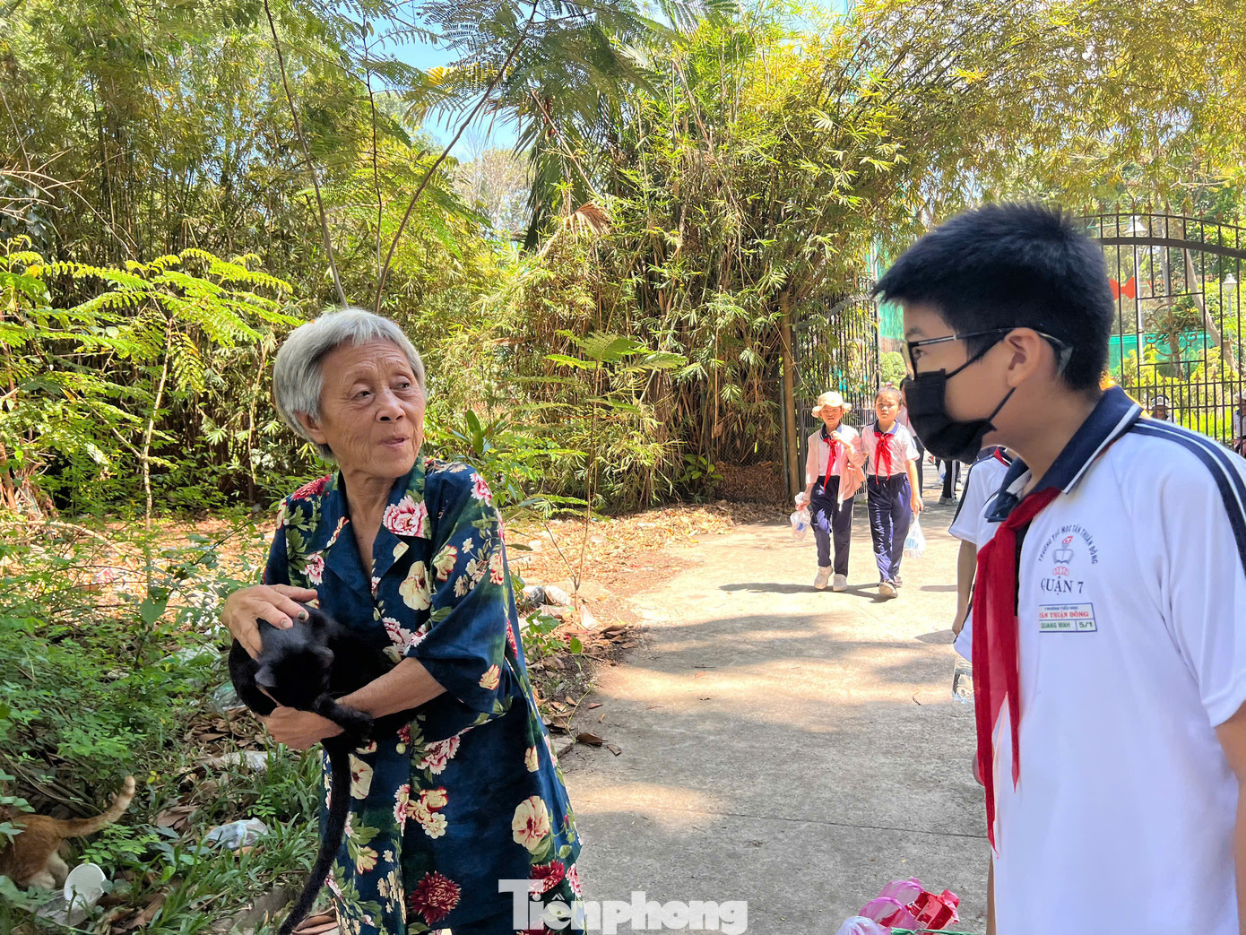 Nhiều học sinh thích thú khi thấy các chú mèo con được bà Năm chăm sóc.