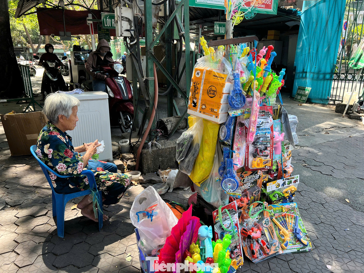 Gánh hàng rong bán đồ chơi nhỏ xíu của bà Năm có hôm không bán được món đồ nào nhưng bà chưa bao giờ để các con thú hoang bị đói. Bà mong mình có sức khỏe, sống lâu hơn để có thể tiếp tục chăm cho đàn con.