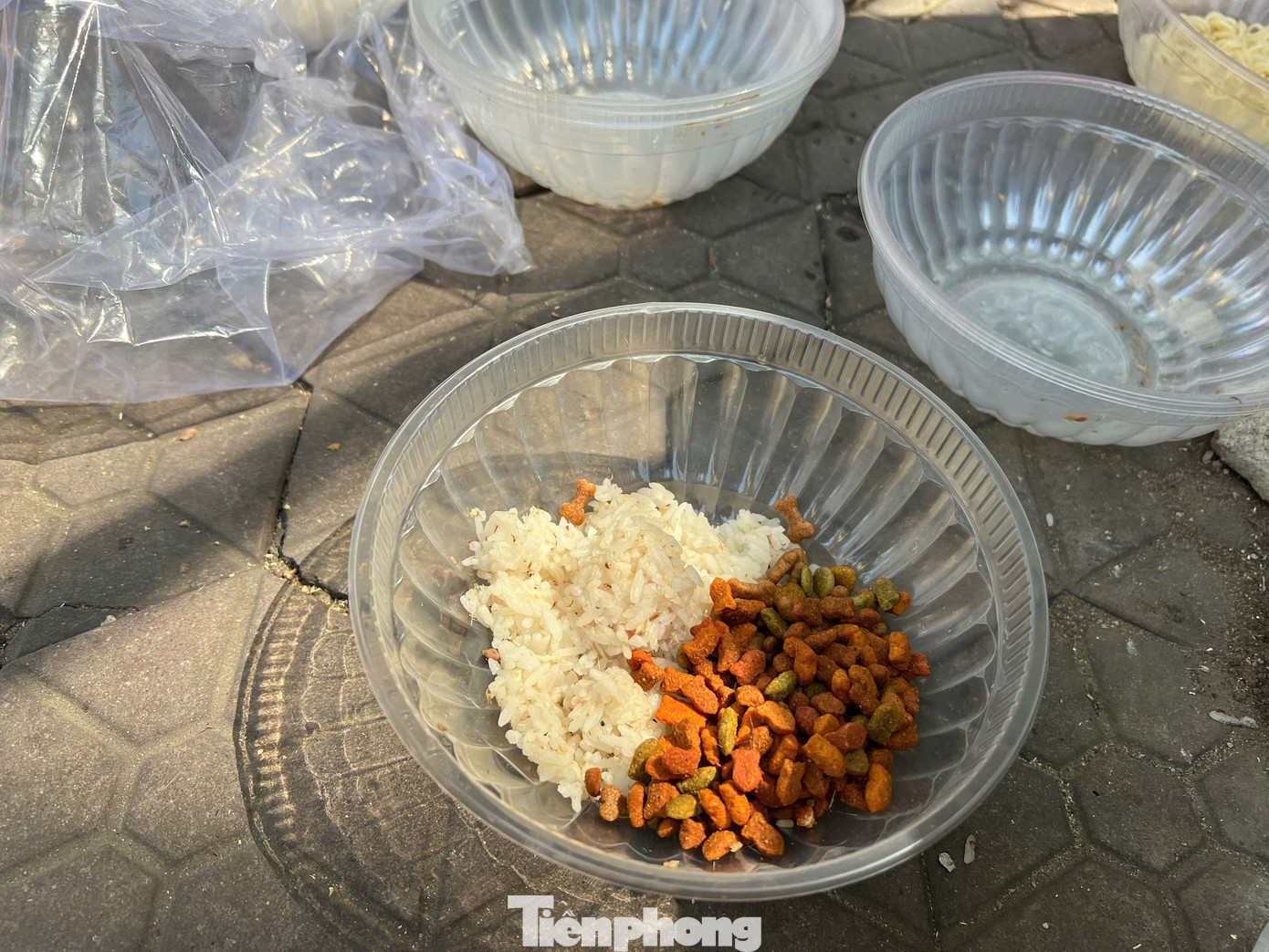 Tô cơm đầy ắp có cá, hạt. Có món nào ngon bà Năm đều dành cho "các con". "Tụi nó dễ nuôi lắm, cho gì cũng ăn" - bà cụ U80 vui vẻ chia sẻ