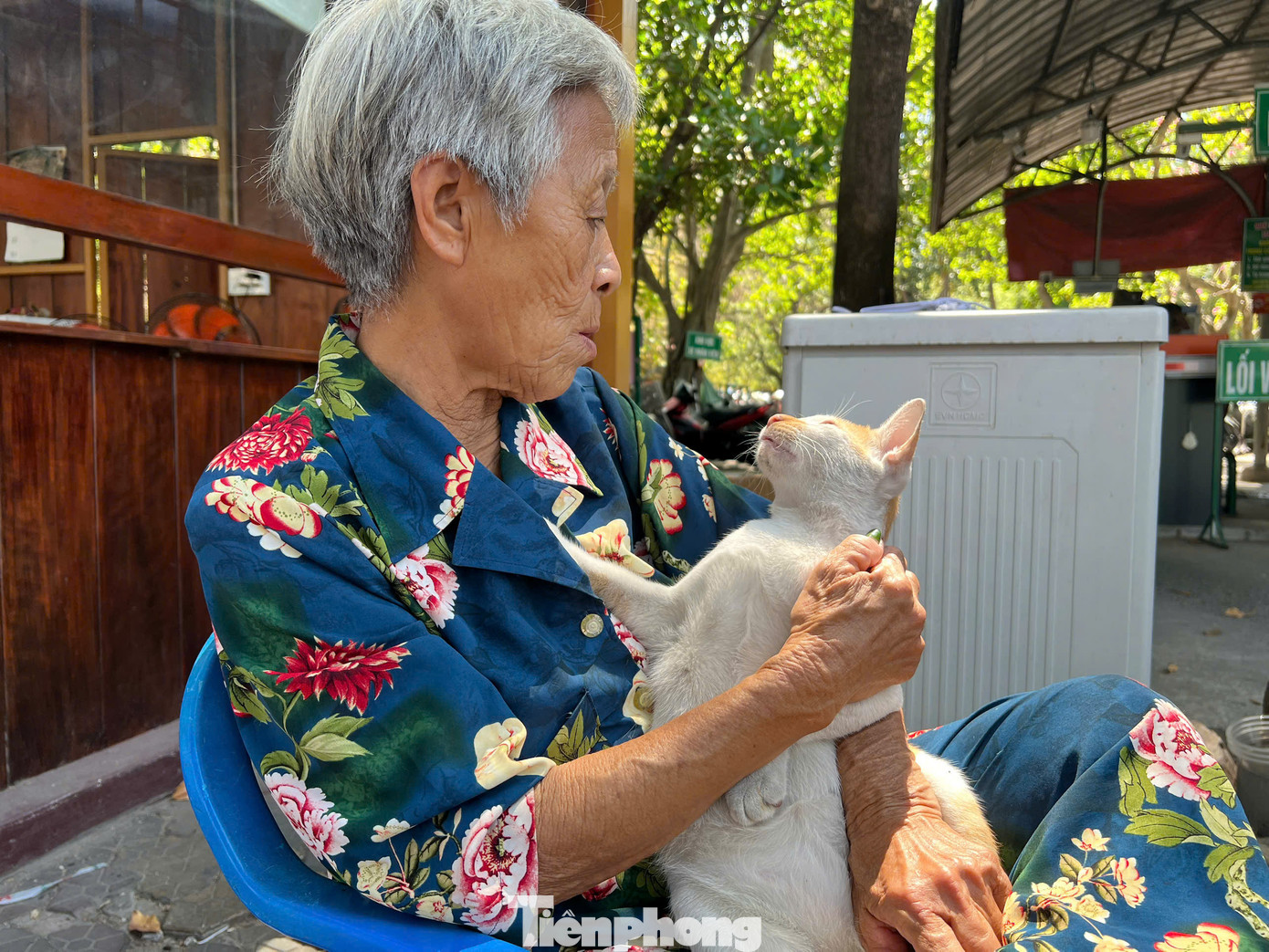 Nhiều năm qua, bà Hồng Tuyết Mai (71 tuổi), còn được gọi là bà Năm bán đồ chơi trẻ em trước cổng Thảo Cầm Viên Sài Gòn (quận 1, TPHCM). Bà đã cưu mang hàng chục "đứa con" không máu mủ là mèo hoang, sóc, chim sẻ, bồ câu... Chỉ cần nghe tiếng "nội đây" của bà Năm, "đàn con" liền chạy đến vây quanh.